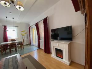 沃尼奥尔茨沃什海吉Villa Elisa的客厅设有壁炉和平面电视。