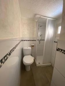 卡塔尼亚Homesweet的一间带卫生间和淋浴的小浴室