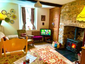 Llanrhaeadr-ym-MochnantCastle Buildings Cottage2的客厅设有石制壁炉和电视。