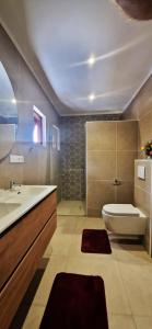 威廉斯塔德Tortuga Resort apartment D的一间带水槽和卫生间的浴室