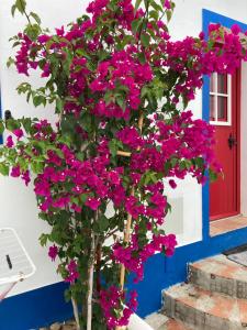 莫托拉Casa Vó Briata的房子前有粉红色花的树