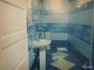 阿斯旺Azoz Nubian House的蓝色和白色的浴室设有水槽和淋浴