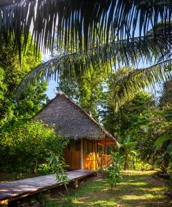 TambopataTres Chimbadas Lake Lodge的森林中间的小小屋