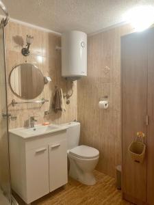 尤塔哈Anna Apartment的一间带卫生间、水槽和镜子的浴室