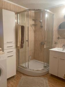 尤塔哈Anna Apartment的带淋浴的浴室和玻璃门