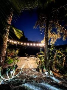 塞罗阿苏尔Cabañas Lago Cerro Azul - Lake of Panama的夜晚在庭院上放一串灯光