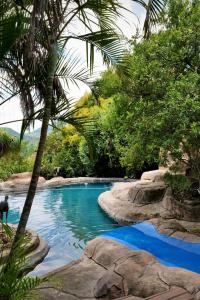 内尔斯普雷特Leopards Ledge的一座拥有蓝色海水和棕榈树的游泳池