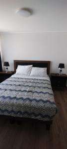 圣地亚哥Hermoso y cómodo departamento的一间卧室配有一张床,两台桌子上放着两盏灯