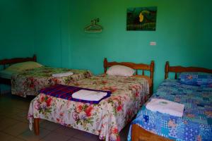圣伊格纳西奥Hilltop Horizon Guesthouse的绿墙客房内的两张床