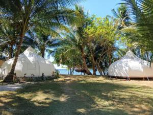New BusuangaFiresky Glamping Ocam Ocam Beach的两顶棕榈树海滩上的白色帐篷