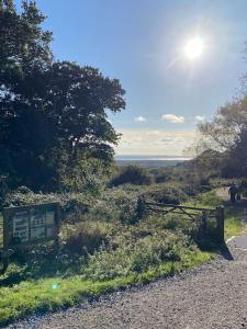 HadleighCabin de la Paix的一条土路,有门,有树木和海洋