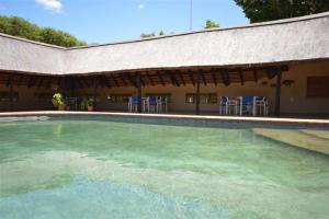 侯斯普瑞特Tamanini Timbavati Lodge的一座带蓝色椅子的游泳池和一座建筑