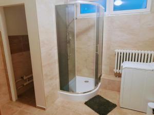 梅尔尼克LEV I SOVA的浴室里设有玻璃门淋浴