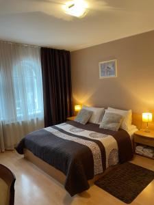 德鲁斯基宁凯吉瑞瓦酒店的一间卧室配有带两个枕头的床和窗户