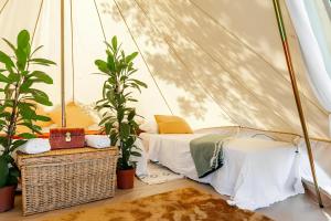 马萨罗萨Ganzo - Tuscany Retreat的帐篷内一间卧室,配有一张床