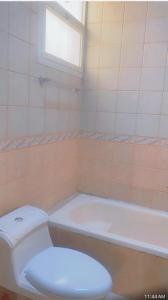 利雅德Alwaha-Appartement的浴室配有卫生间、浴缸和水槽。