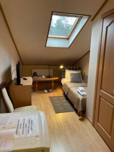 德鲁斯基宁凯吉瑞瓦酒店的阁楼卧室配有床和天窗