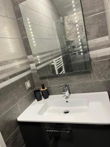 加普Villa chaleureuse Centre ville - Parking privée的浴室设有白色水槽和镜子