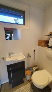 VeendamB&B Houtstee的一间带卫生间、水槽和窗户的浴室
