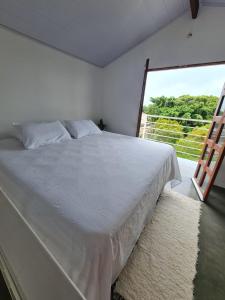 雅克南Chalés Jacumã Paradise的卧室设有白色的床和大窗户