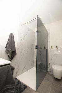 SchneppenbachModerne Wohnung mit Panorama的浴室设有玻璃淋浴间和卫生间