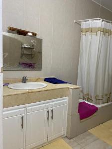 Nag` NaqshaLuxorya hotel apartment的一间带水槽和淋浴帘的浴室