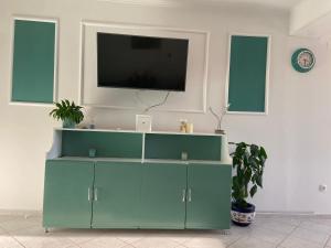 特里班Apartman Mia Ana的一间带电视和绿色橱柜的客厅
