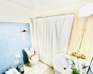 门多萨Amplio Depto excelente ubicación的带淋浴、卫生间和盥洗盆的浴室