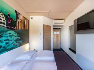 弗莱堡弗赖堡诺德早餐加住宿酒店的一间卧室配有一张床和一台平面电视