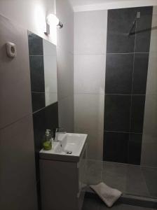 布达佩斯HELIOS Hotel Apartments的浴室配有盥洗盆和带镜子的淋浴