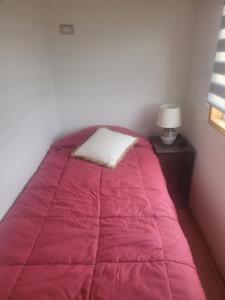 La UniónMaravilloso departamento en el sur de Chile的一张带粉色毯子和枕头的床