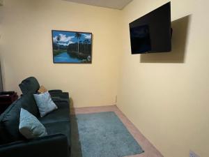 DunfermlineEstuary Apartments 2B的客厅配有绿色沙发和平面电视
