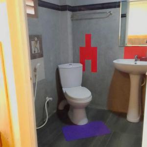 康提Yak City Apartments的一间带卫生间和水槽的浴室