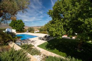 阿洛拉Villa Mantequilla的后院设有游泳池和草坪