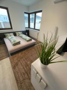德布勒森VRG 1 Exkluzív Apartman的客厅配有沙发和桌子