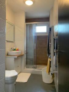 沙托鲁Quality Street的带淋浴、卫生间和盥洗盆的浴室