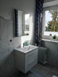 梅明根Ferienwohnung Allgäu 2的一间带水槽、淋浴和镜子的浴室