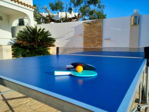 法鲁Villa with pool and sea view with two independent floors的一张蓝色乒乓球桌,上面有球