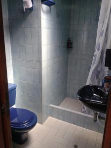 锡帕基拉Villa Antonio的浴室设有蓝色的卫生间和水槽。