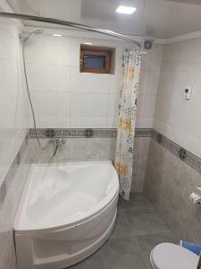 希瓦Khiva Ibrohim Guest House的浴室配有白色卫生间和浴缸。