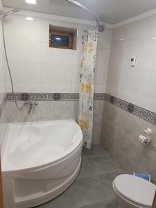 希瓦Khiva Ibrohim Guest House的浴室配有白色卫生间和淋浴。