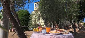 斯坎迪奇Agriturismo Villa Guarnaschelli的桌子上放着水果和饮料,树下放着