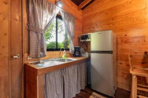 图里亚尔瓦Cabaña El Manzano: Vistas increíbles y Mirador的小屋内的厨房配有冰箱和水槽