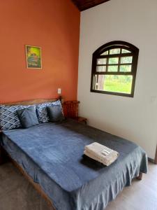 伊泰帕瓦Fazenda Piloes的一间卧室配有一张带蓝色棉被的床和窗户。