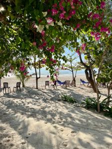 Vinh HoaRobinson Beach Bungalow的海滩上摆放着椅子,树木上布满了粉红色的花朵