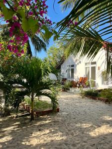 Vinh HoaRobinson Beach Bungalow的棕榈树和粉红色花的房屋