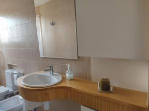 奥利瓦Apartament Tere的一间带水槽和镜子的浴室
