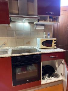 比耶拉Appartamento Homemade的带微波炉和炉灶的小厨房