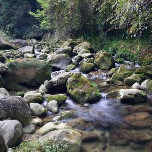 SchönbrunnFerien im Odenwald Zur Schmiede的一条有岩石和树木的水流