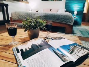拉贝河畔布兰迪斯-斯塔拉博雷斯拉夫Onefourfour Apartment的咖啡桌,带书和两杯葡萄酒